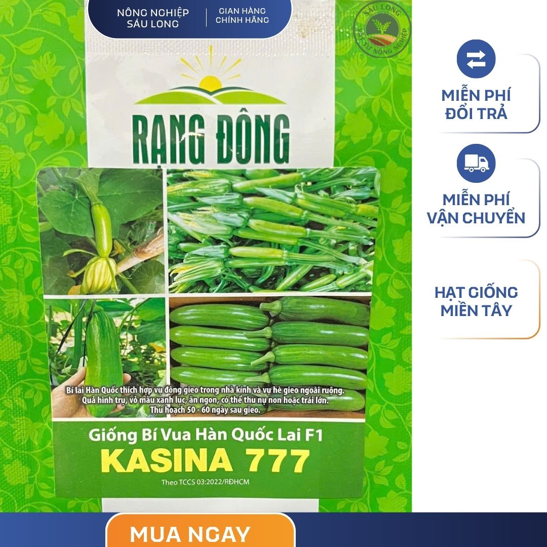 GÓI 5 HẠT – HẠT GIỐNG BÍ VUA HÀN QUỐC LAI F1 KASINA 777 RẠNG ĐÔNG