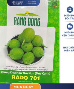 GÓI 2 GRAM – HẠT GIỐNG DƯA HẤU THU NON 701 RẠNG ĐÔNG