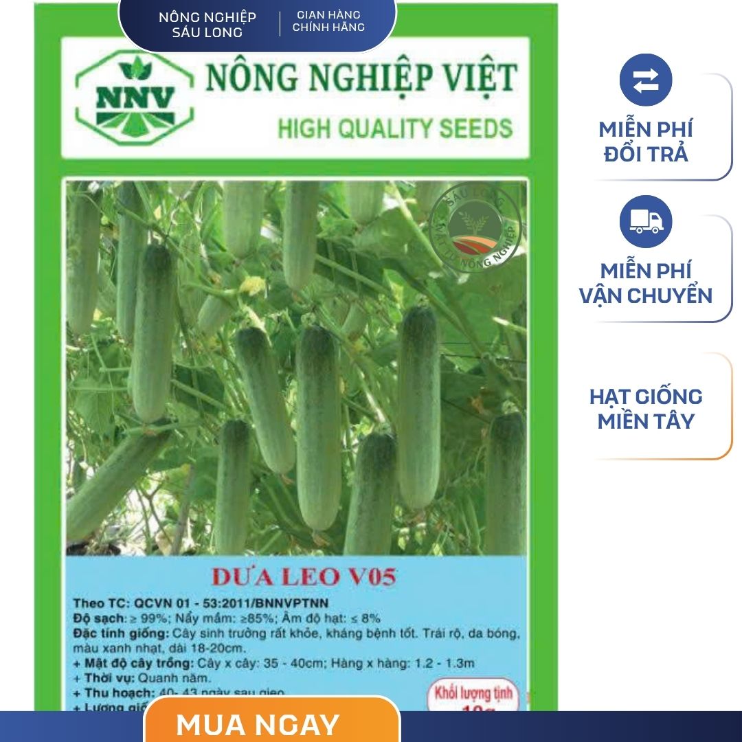 GÓI 20 HẠT - DƯA LEO BÓNG V05 NÔNG NGHIỆP VIỆT - NĂNG SUẤT CAO