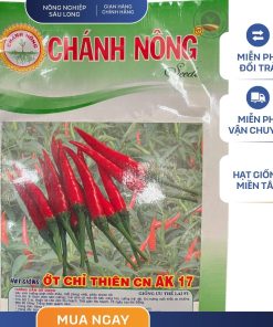 GÓI 1 GRAM - HẠT GIỐNG ỚT CHỈ THIÊN CN AK17 CHÁNH NÔNG- NĂNG SUẤT