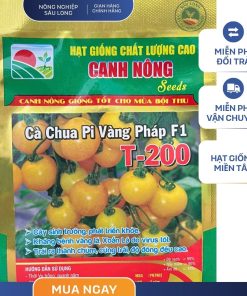 GÓI 0.2 GRAM - HẠT GIỐNG CÀ CHUA PI VÀNG T-200 CANH NÔNG