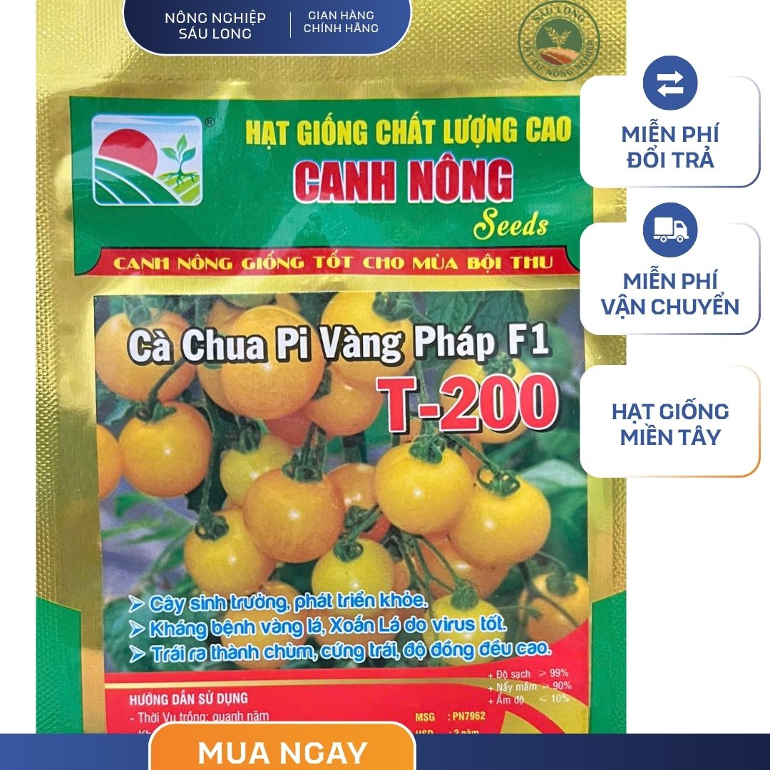 GÓI 0.2 GRAM - HẠT GIỐNG CÀ CHUA PI VÀNG T-200 CANH NÔNG