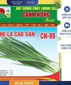 GÓI 2 GRAM - HẠT GIỐNG HẸ LÁ CAO SẢN CN89 CANH NÔNG