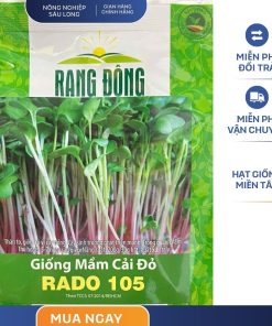 GÓI 30 GRAM - HẠT GIỐNG RAU MẦM CỦ CẢI ĐỎ RADO 105 RẠNG ĐÔNG
