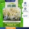 GÓI 50 GRAM - HẠT GIỐNG RAU MẦM GIÁ ĐẬU XANH RADO 07 RẠNG ĐÔNG