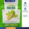 GÓI 10 GRAM – HẠT GIỐNG NGÔ BAO TỬ (NGÔ RÂU) BABY CORN 444 RẠNG ĐÔNG