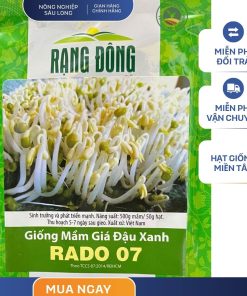 GÓI 50 GRAM - HẠT GIỐNG RAU MẦM GIÁ ĐẬU XANH RADO 07 RẠNG ĐÔNG