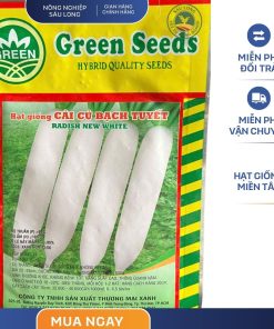 GÓI 20 GRAM - HẠT GIỐNG CẢI CỦ BẠCH TUYẾT GREEN SEEDS - NĂNG SUẤT CAO