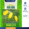 GÓI 5 HẠT – HẠT GIỐNG DƯA HẤU THỎI VÀNG LAI F1 RADO 212 RẠNG ĐÔNG