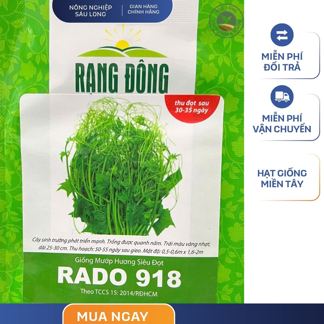 GÓI 5 GRAM – HẠT GIỐNG MƯỚP HƯƠNG SIÊU ĐỌT RADO 918 RẠNG ĐÔNG