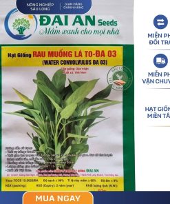 GÓI 100 GRAM - HẠT GIỐNG RAU MUỐNG LÁ TO ĐẠI AN - LÁ BÓNG MƯỢT, NĂNG SUẤT CAO