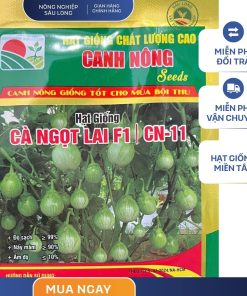 GÓI 1 GRAM - HẠT GIỐNG CÀ NGỌT CN11 CANH NÔNG