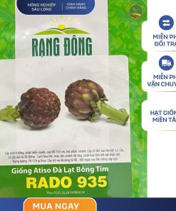 GÓI 2 GRAM - HẠT GIỐNG ATISO ĐÀ LẠT BÔNG TÍM RADO 935 RẠNG ĐÔNG