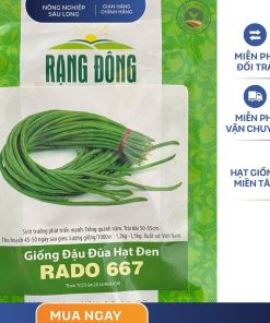 GÓI 20 GRAM - HẠT GIỐNG ĐẬU ĐŨA CAO SẢN HẠT ĐEN RADO 667 RẠNG ĐÔNG