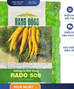 GÓI 5 GRAM - HẠT GIỐNG CÀ RỐT VÀNG RADO 508 RẠNG ĐÔNG