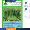 GÓI 20 GRAM - HẠT GIỐNG CẢI THÌA LAI F1 V54 NÔNG NGHIỆP VIỆT - NĂNG SUẤT CAO