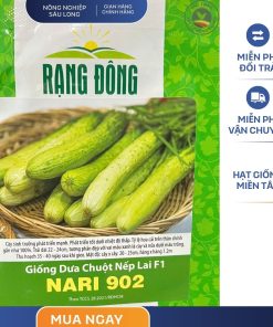 GÓI 0.5 GRAM – HẠT GIỐNG DƯA CHUỘT NẾP LAI F1 NARI 902 RẠNG ĐÔNG