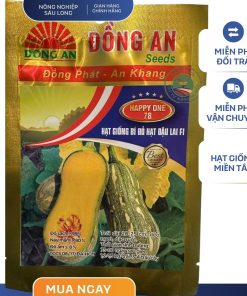 HẠT GIỐNG BÍ HẠT ĐẬU DÀI F1 HAPPY ONE 78 GÓI 2GR - HIỆU ĐỒNG AN