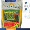 GÓI 2 GRAM - HẠT GIỐNG BÍ ĐAO LAI F1 D 884 AN NÔNG - TRÁI ĐẸP, NĂNG SUẤT CAO