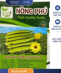 GÓI 100 GRAM - HẠT GIỐNG ĐẬU BẮP NĂM CẠNH NP18 NÔNG PHÚ - NĂNG SUẤT CAO
