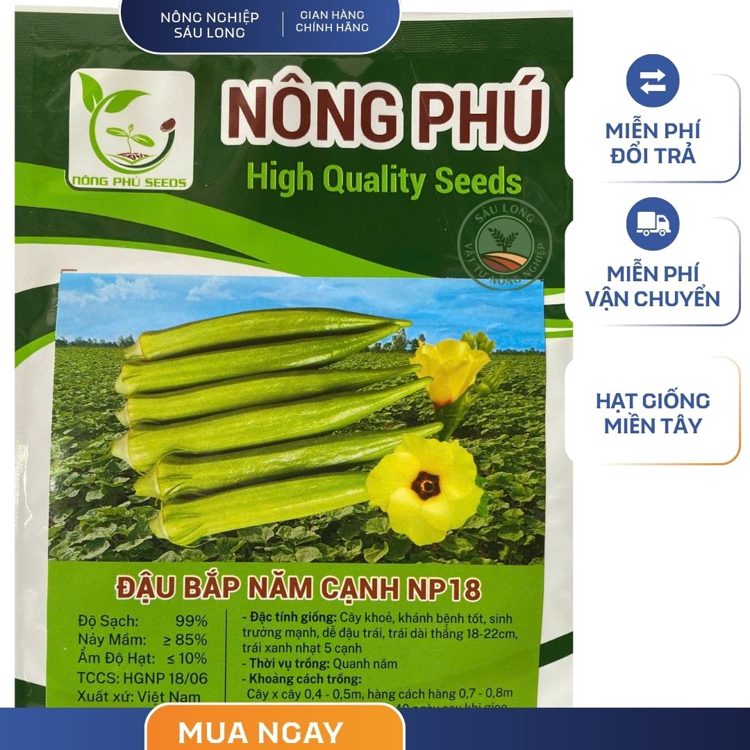 GÓI 100 GRAM - HẠT GIỐNG ĐẬU BẮP NĂM CẠNH NP18 NÔNG PHÚ - NĂNG SUẤT CAO