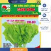 GÓI 10 GRAM - HẠT GIỐNG XÀ LÁCH DÚN VÀNG CN83 CANH NÔNG