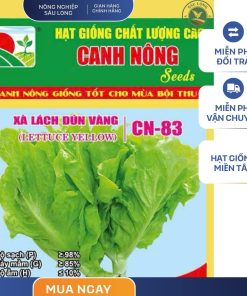 GÓI 10 GRAM - HẠT GIỐNG XÀ LÁCH DÚN VÀNG CN83 CANH NÔNG
