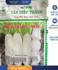 GÓI 50 GRAM - HẠT GIỐNG CỦ CẢI LAI F1 THT207 TÂN HIỆP THÀNH - NĂNG SUẤT CAO