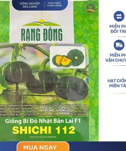 GÓI 5 HẠT - HẠT GIỐNG BÍ ĐỎ NHẬT LAI SHICHI 112 RẠNG ĐÔNG