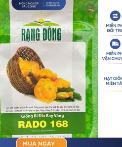 GÓI 1 GRAM - HẠT GIỐNG BÍ DĨA BAY VÀNG RADO 168 RẠNG ĐÔNG