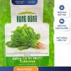 GÓI 5 GRAM - HẠT GIỐNG CẢI BÓ XÔI F1 TURKANA RẠNG ĐÔNG