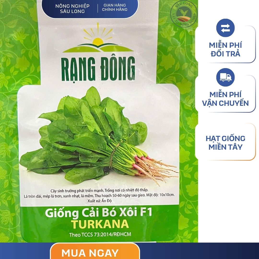 GÓI 5 GRAM - HẠT GIỐNG CẢI BÓ XÔI F1 TURKANA RẠNG ĐÔNG