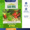GÓI 0.05 GRAM – HẠT GIỐNG DÂU TÂY ETNA RẠNG ĐÔNG