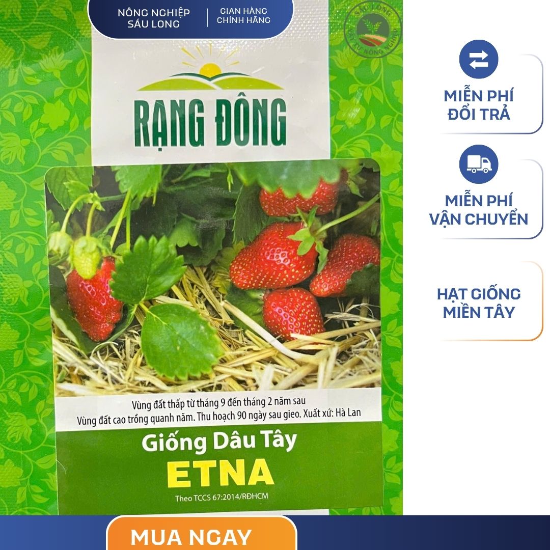 GÓI 0.05 GRAM – HẠT GIỐNG DÂU TÂY ETNA RẠNG ĐÔNG