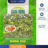 GÓI 3 HẠT – HẠT GIỐNG CÀ CHUA TRÁI CÂY CHỊU NHIỆT LAI F1 GANA 533 RẠNG ĐÔNG
