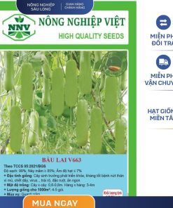 GÓI 20 HẠT - HẠT GIỐNG BẦU XANH LAI F1 V663 NÔNG NGHIỆP VIỆT - NĂNG SUẤT CAO