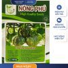 GÓI 11 GRAM - HẠT GIỐNG BÍ ĂN NON VIKI26 NÔNG PHÚ - NĂNG SUẤT CAO