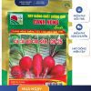GÓI 5 GRAM - HẠT GIỐNG CỦ CẢI ĐỎ CN25 CANH NÔNG