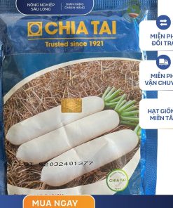 GÓI 100 GRAM - HẠT GIỐNG CỦ CẢI TRẮNG F1 RD365 CHIATAI - NĂNG SUẤT CAO