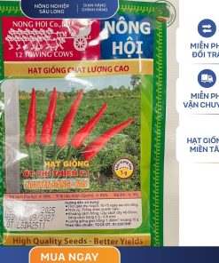 GÓI 5 GRAM - HẠT GIỐNG ỚT CHỈ THIÊN LAI F1 NGUYÊN ĐĂNG 605 NÔNG HỘI - NĂNG SUẤT