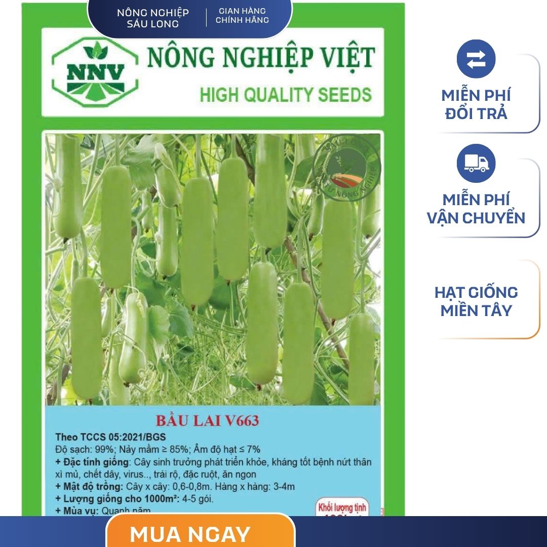GÓI 20 HẠT - HẠT GIỐNG BẦU XANH LAI F1 V663 NÔNG NGHIỆP VIỆT - NĂNG SUẤT CAO