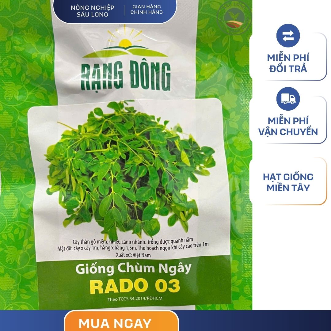GÓI 10 HẠT - HẠT GIỐNG CHÙM NGÂY RADO 03 RẠNG ĐÔNG