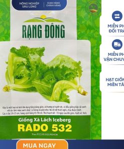 GÓI 2 GRAM – HẠT GIỐNG XÀ LÁCH ICEBERG RADO 532 RẠNG ĐÔNG