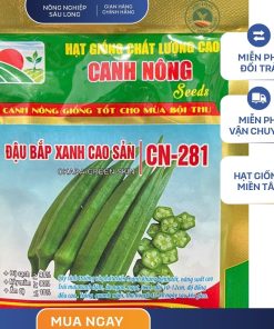 GÓI 20 GRAM - HẠT GIỐNG ĐẬU BẮP XANH CN281 CANH NÔNG