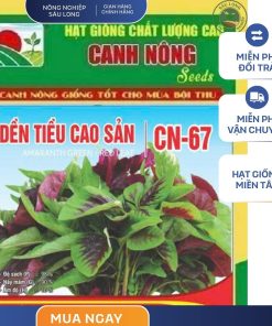 GÓI 20 GRAM - HẠT GIỐNG DỀN TIỀU CAO SẢN CN67 CANH NÔNG