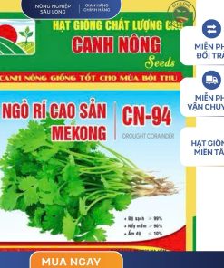 GÓI 20 GRAM - HẠT GIỐNG NGÒ RÍ CAO SẢN MEKONG CN94 CANH NÔNG