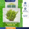 GÓI 20 GRAM - HẠT GIỐNG RAU ĐAY ĐỎ RADO 88 RẠNG ĐÔNG