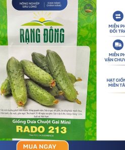GÓI 1 GRAM – HẠT GIỐNG DƯA CHUỘT GAI MINI RADO 213 RẠNG ĐÔNG