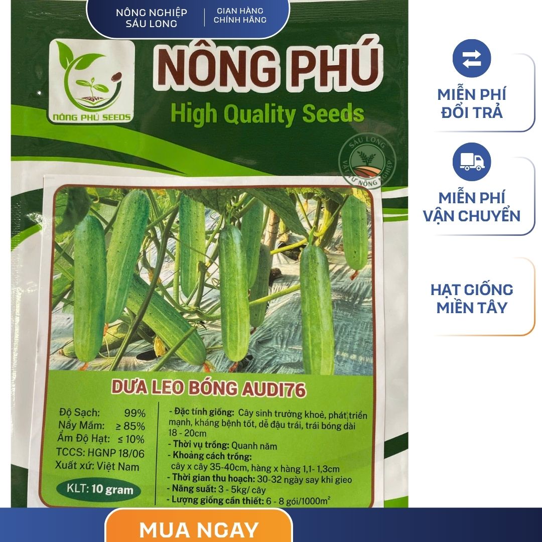 GÓI 10 GRAM - HẠT GIỐNG DƯA LEO BÓNG AUDI 76 NÔNG PHÚ - NĂNG SUẤT CAO