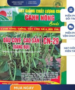 GÓI 20 GRAM - HẠT GIỐNG ĐẬU COVE DẠNG BỤI CN29 CANH NÔNG